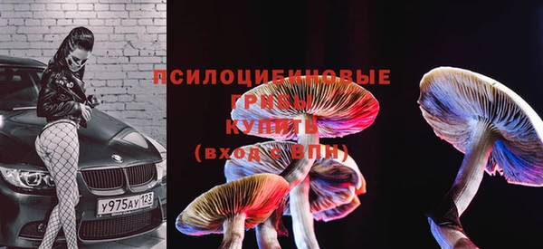 прущая мука Верхний Тагил