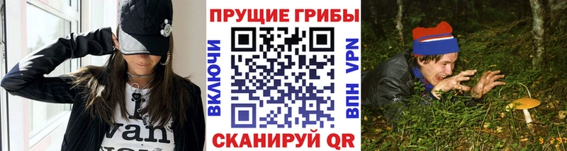 Псилоцибиновые грибы MAGIC MUSHROOMS  сколько стоит  Новочебоксарск 